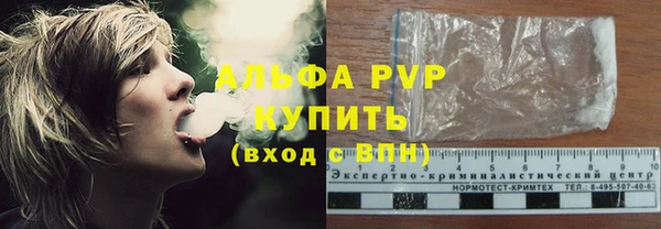крисы Дмитриев