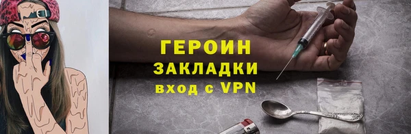 прущие грибы Дмитров