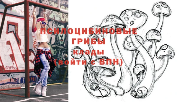 а пвп мука Гусиноозёрск