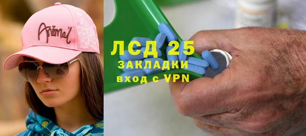 прущие грибы Дмитров