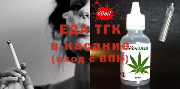 твердый Гусев