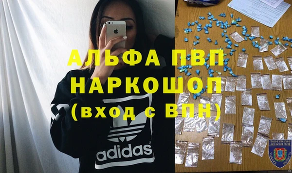 прущие грибы Дмитров