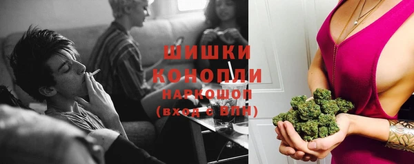 прущие грибы Дмитров