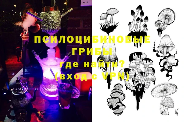 а пвп мука Гусиноозёрск