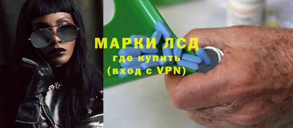 прущие грибы Дмитров