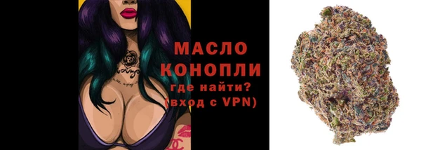 крисы Дмитриев