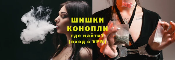 прущие грибы Дмитров