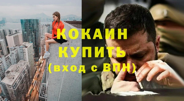крисы Дмитриев